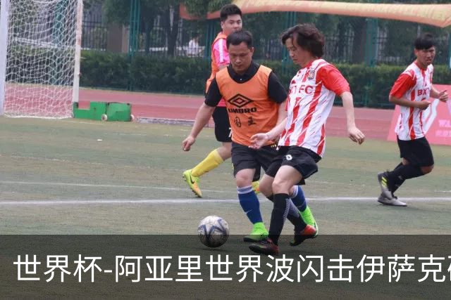 世界杯-阿亚里世界波闪击伊萨克破门 半场瑞典2-1突尼斯